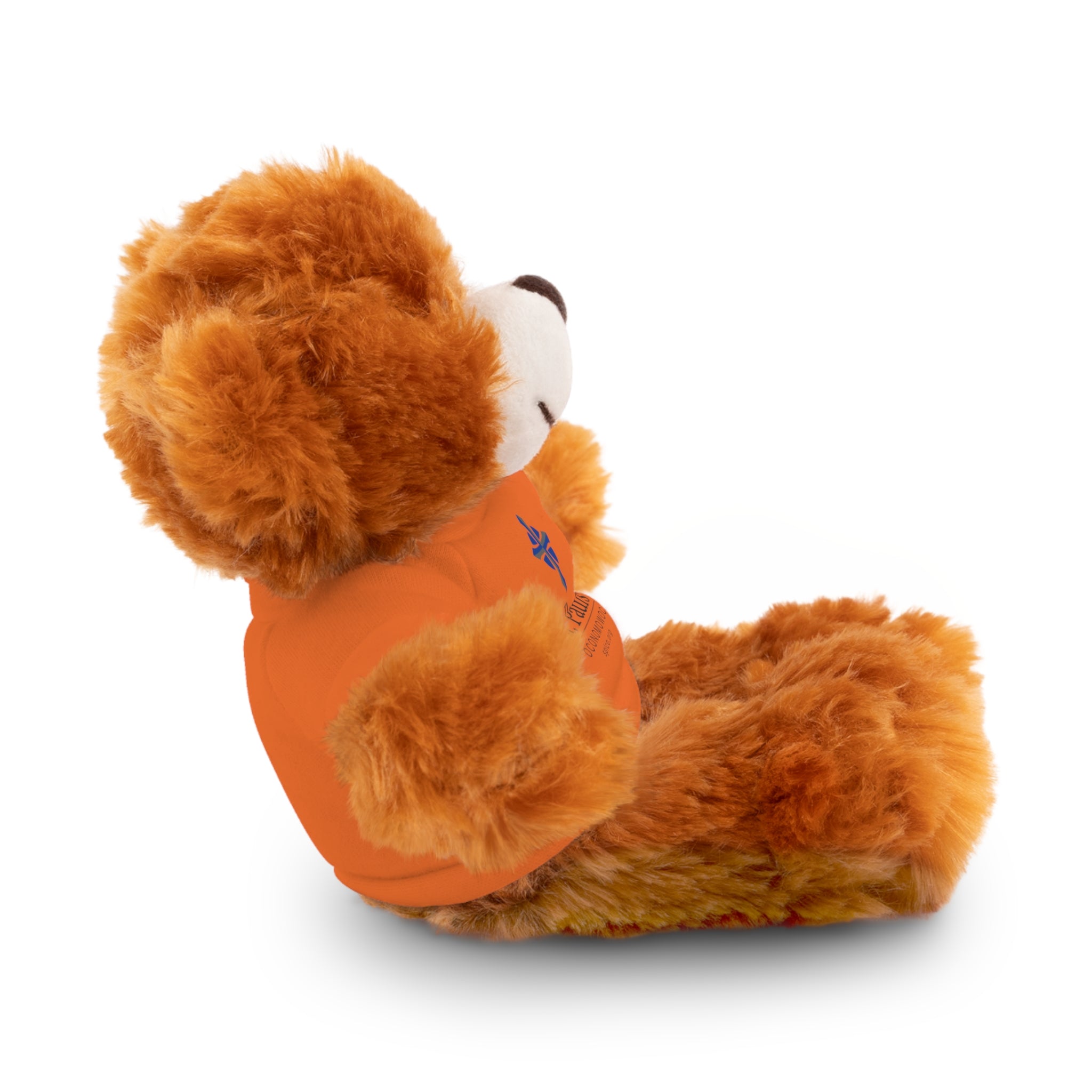 St Paul's Stuffed Animals with Tee