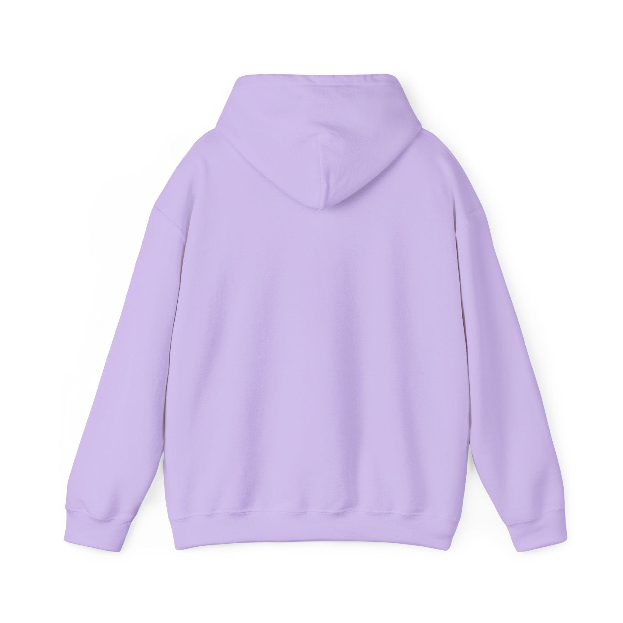 St Paul's Heavy Blend™ Hooded Sweatshirt