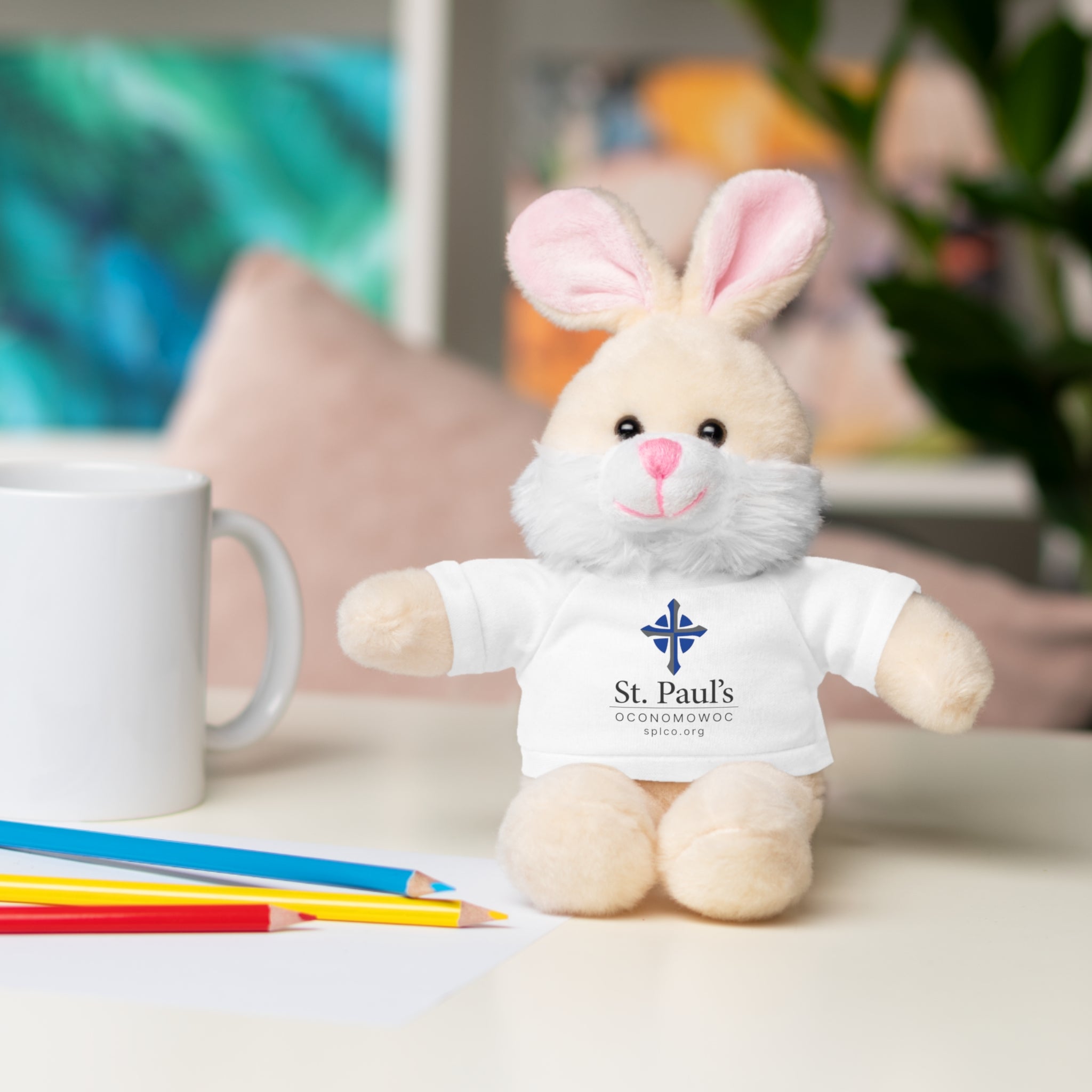 St Paul's Stuffed Animals with Tee