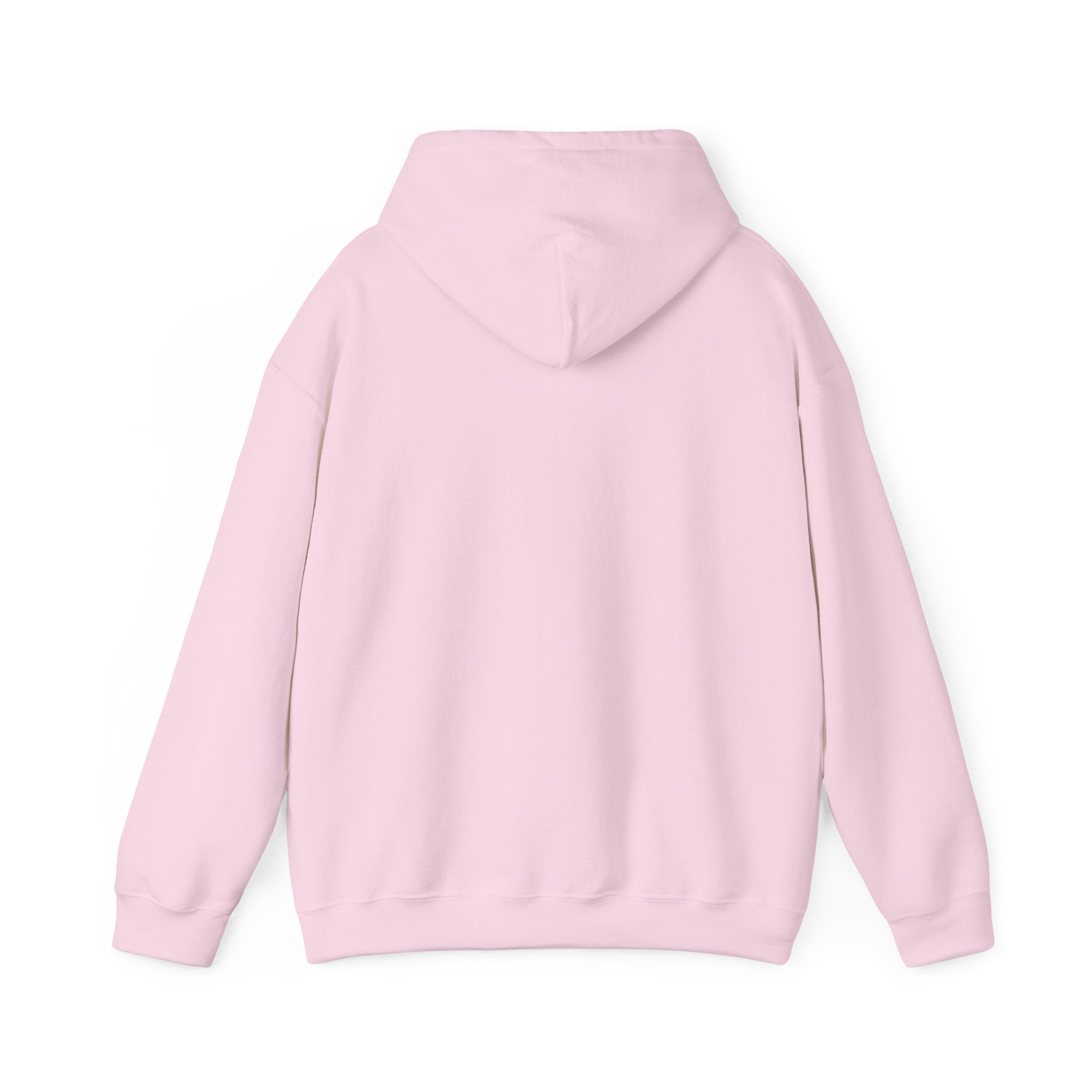St Paul's Heavy Blend™ Hooded Sweatshirt