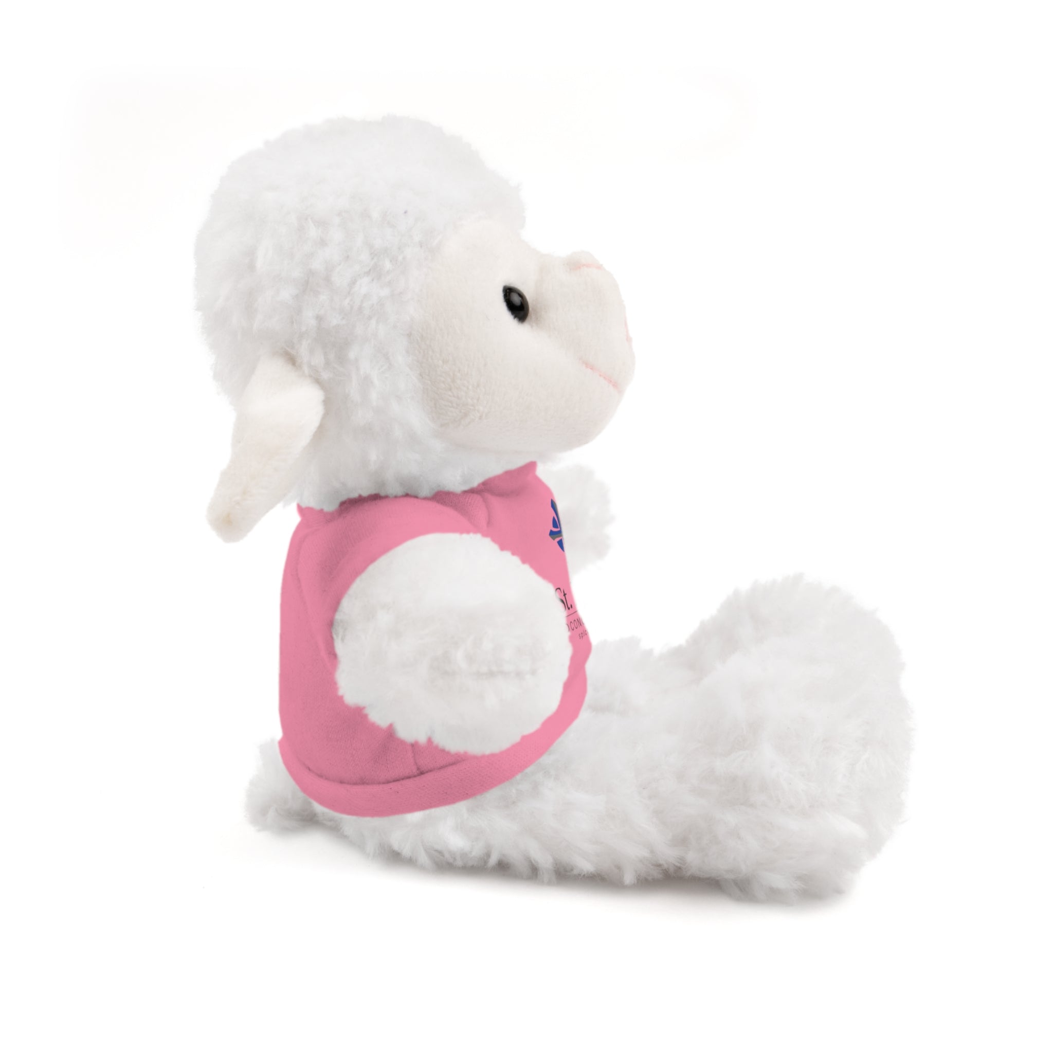 St Paul's Stuffed Animals with Tee