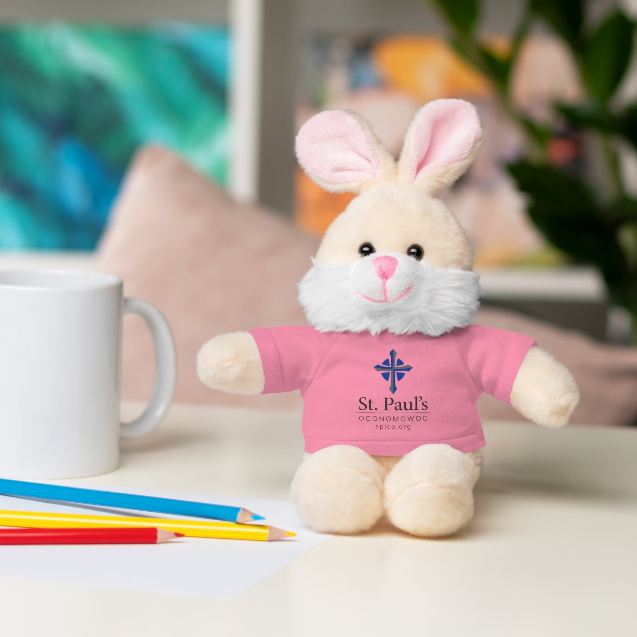 St Paul's Stuffed Animals with Tee