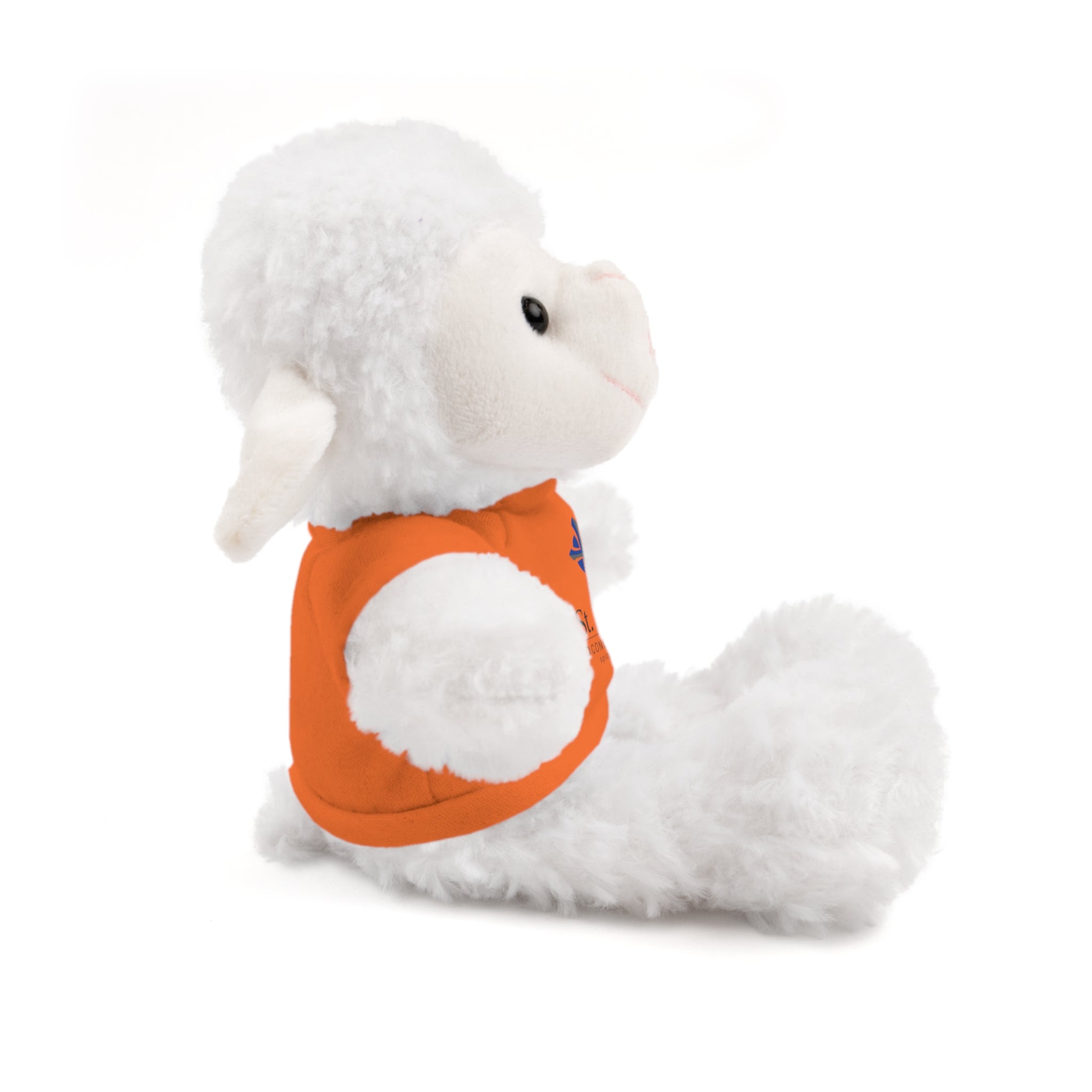 St Paul's Stuffed Animals with Tee
