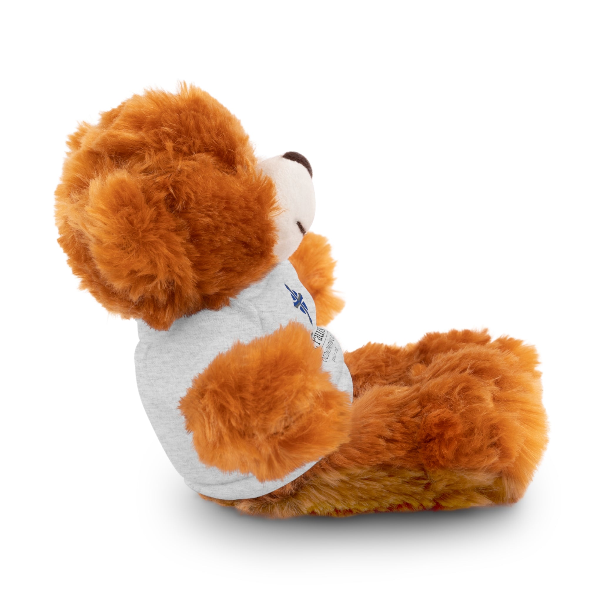 St Paul's Stuffed Animals with Tee