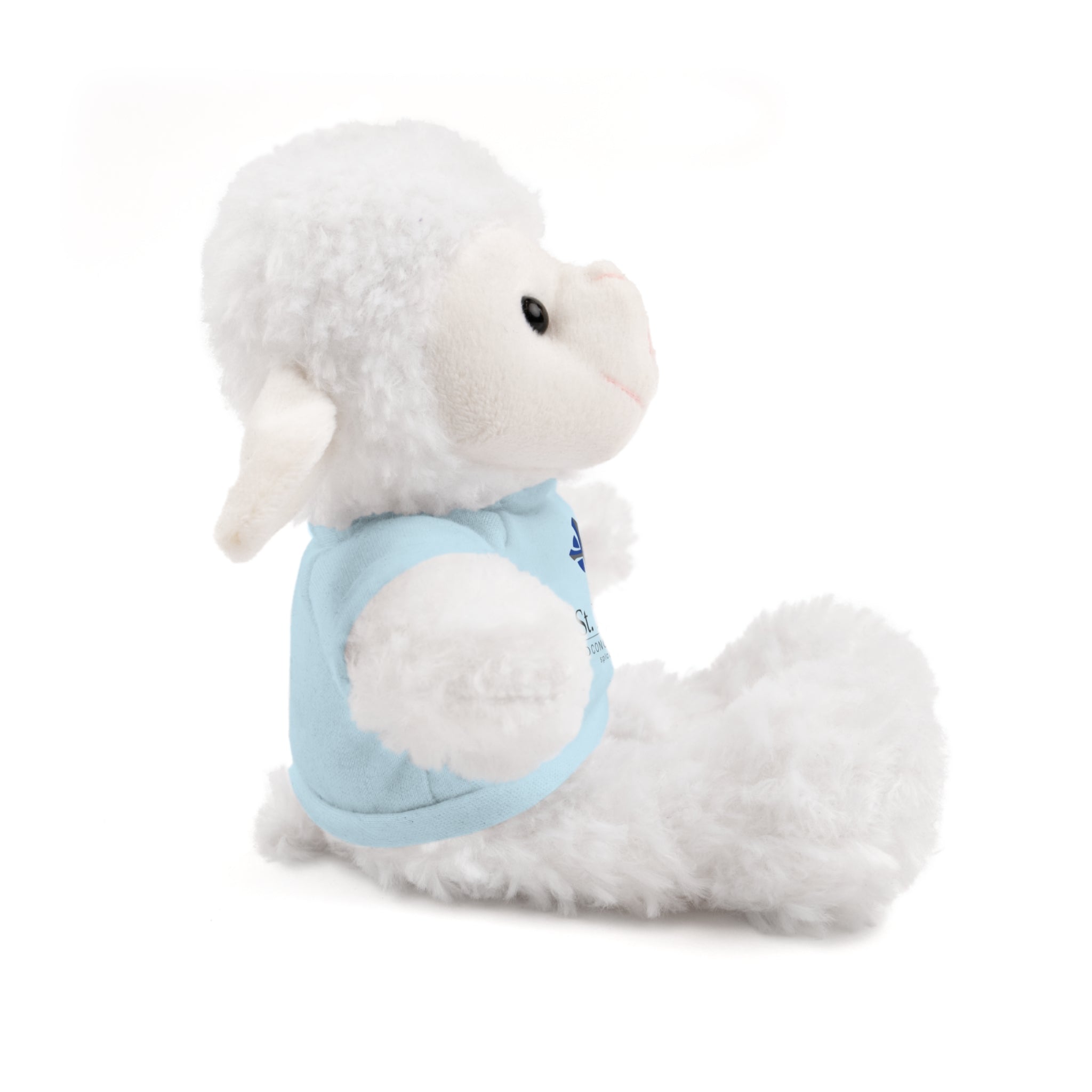 St Paul's Stuffed Animals with Tee