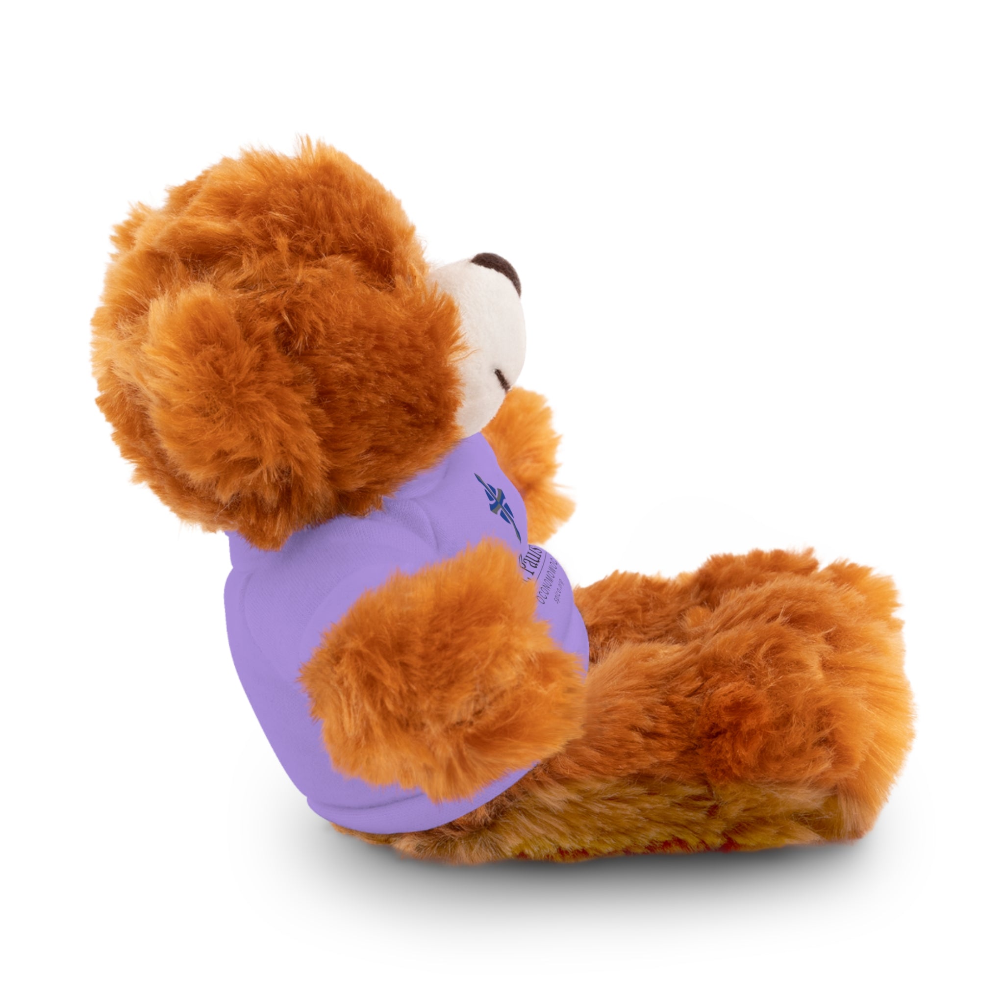 St Paul's Stuffed Animals with Tee