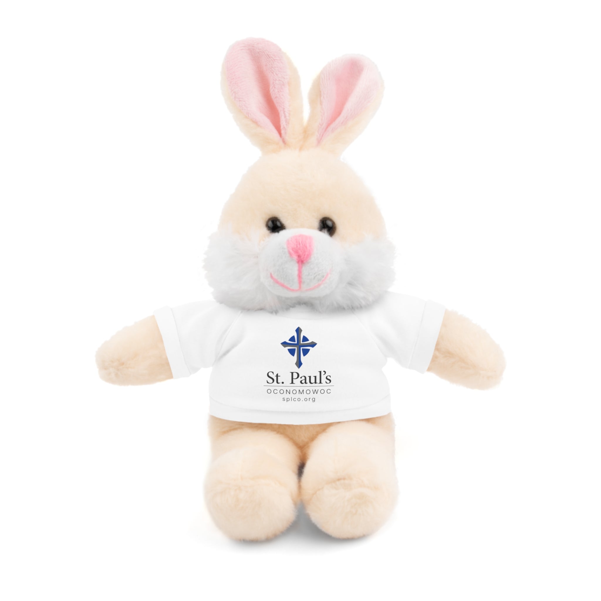 St Paul's Stuffed Animals with Tee