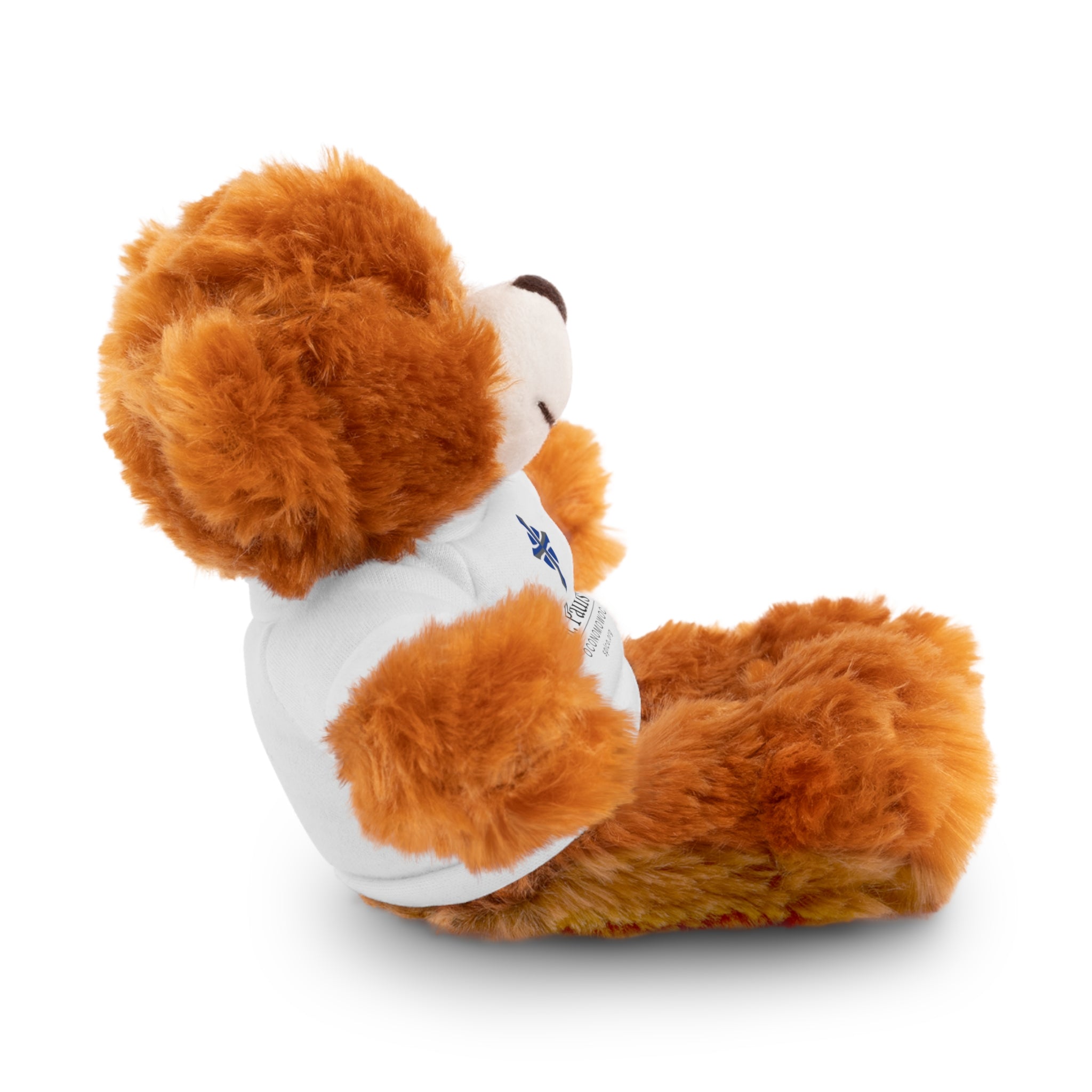 St Paul's Stuffed Animals with Tee