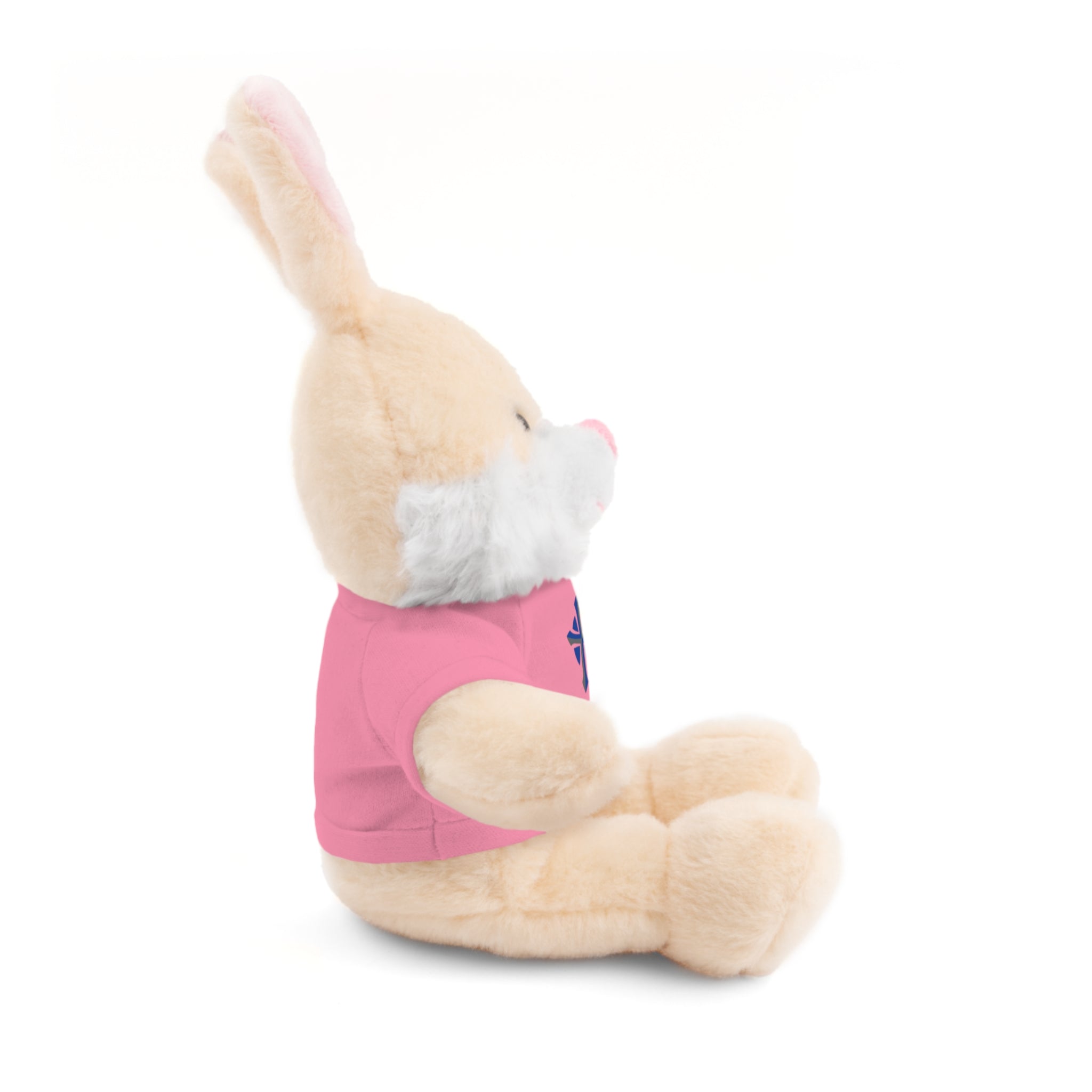 St Paul's Stuffed Animals with Tee