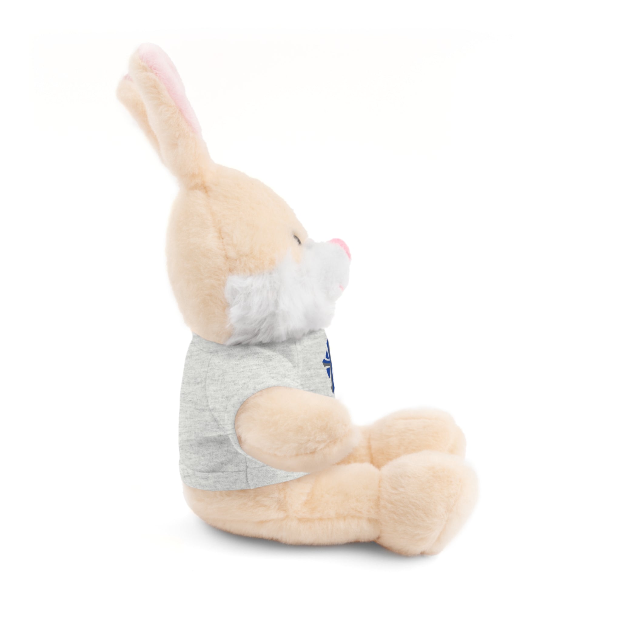 St Paul's Stuffed Animals with Tee