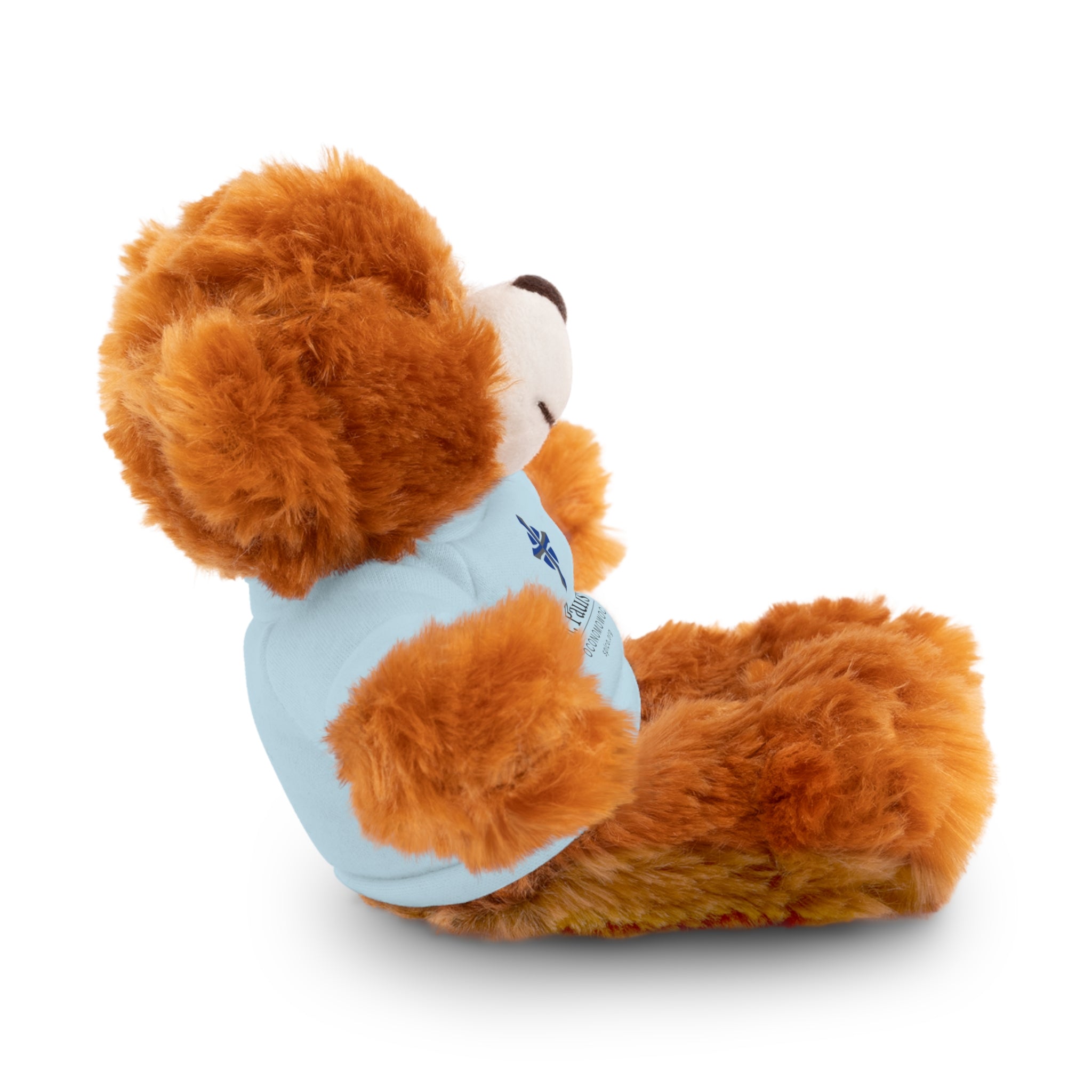 St Paul's Stuffed Animals with Tee