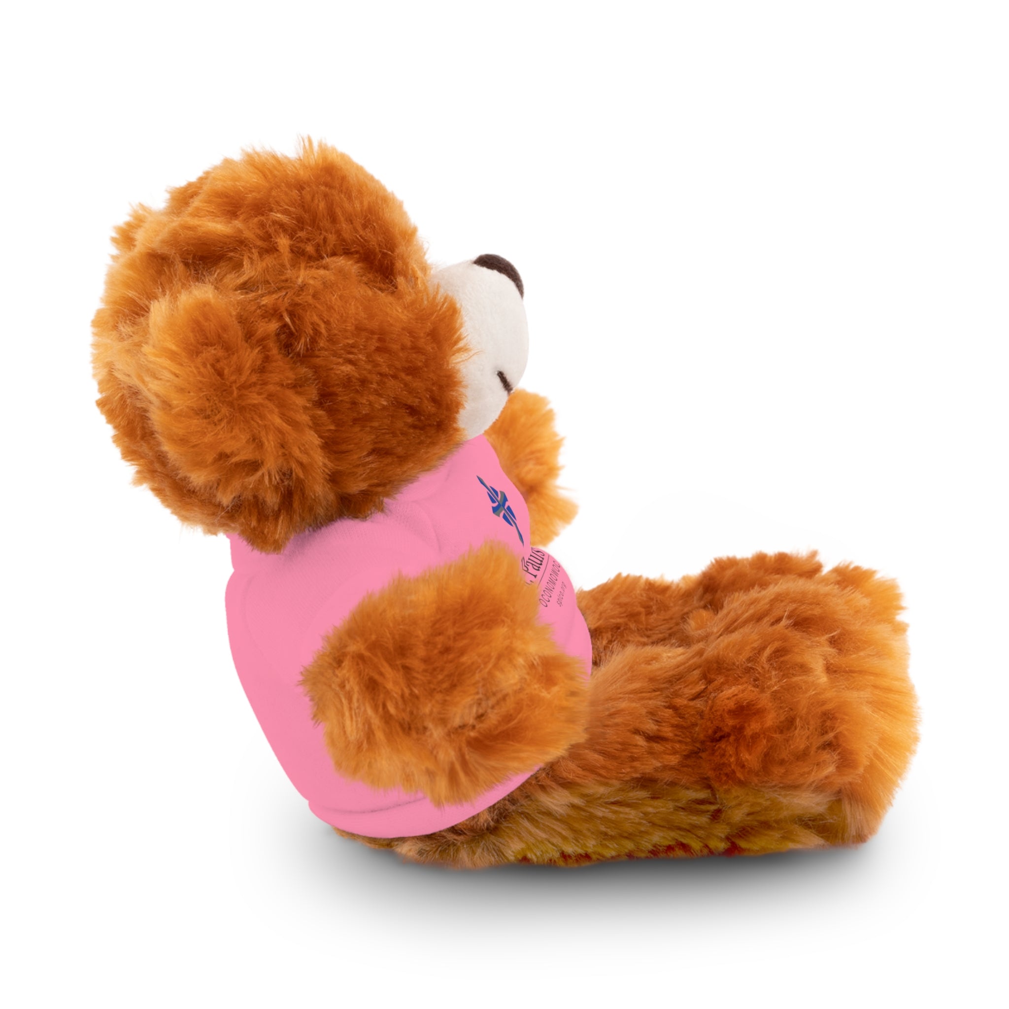 St Paul's Stuffed Animals with Tee