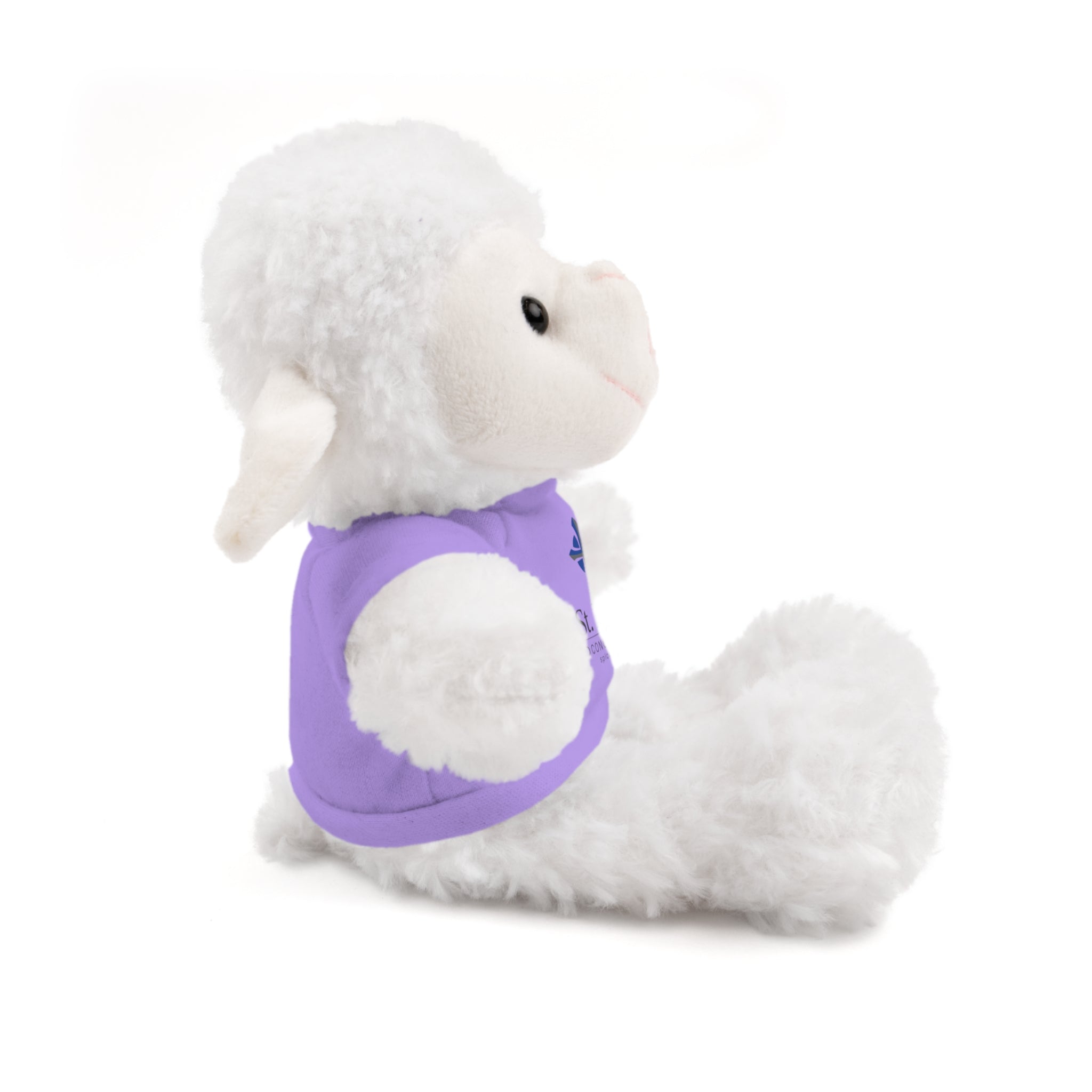 St Paul's Stuffed Animals with Tee