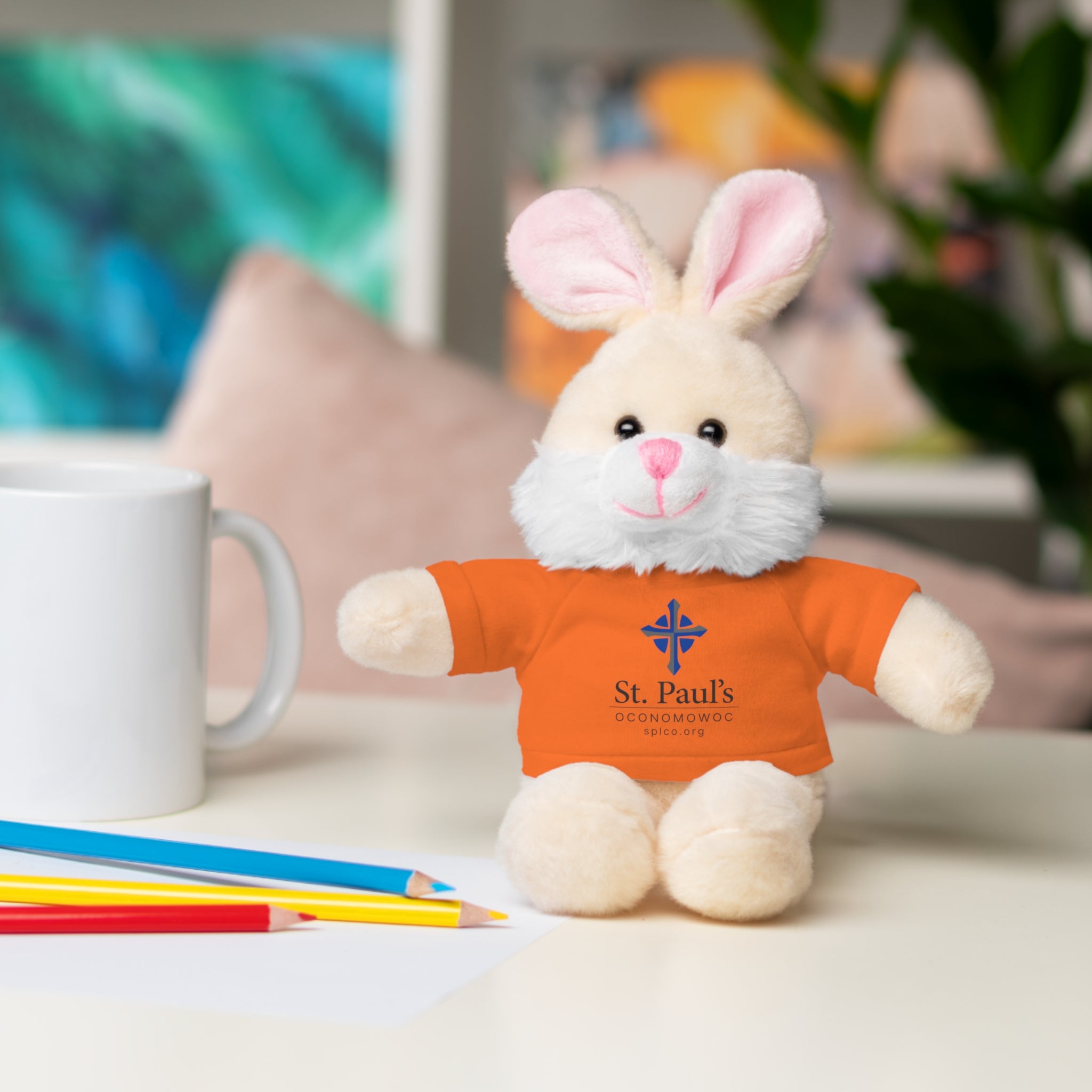 St Paul's Stuffed Animals with Tee
