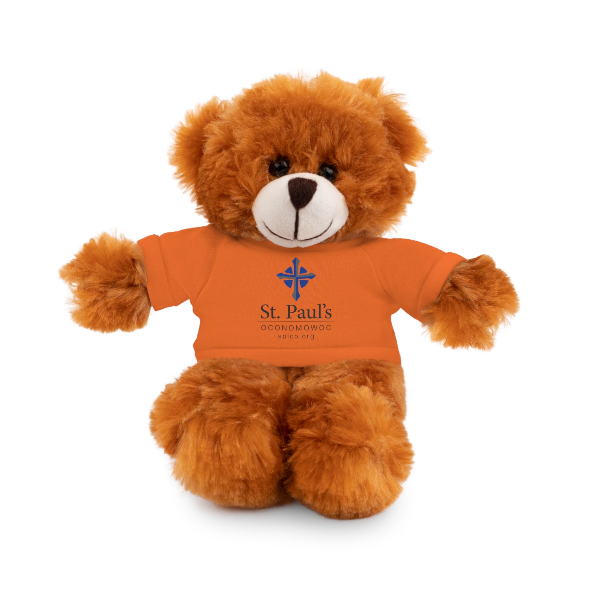 St Paul's Stuffed Animals with Tee