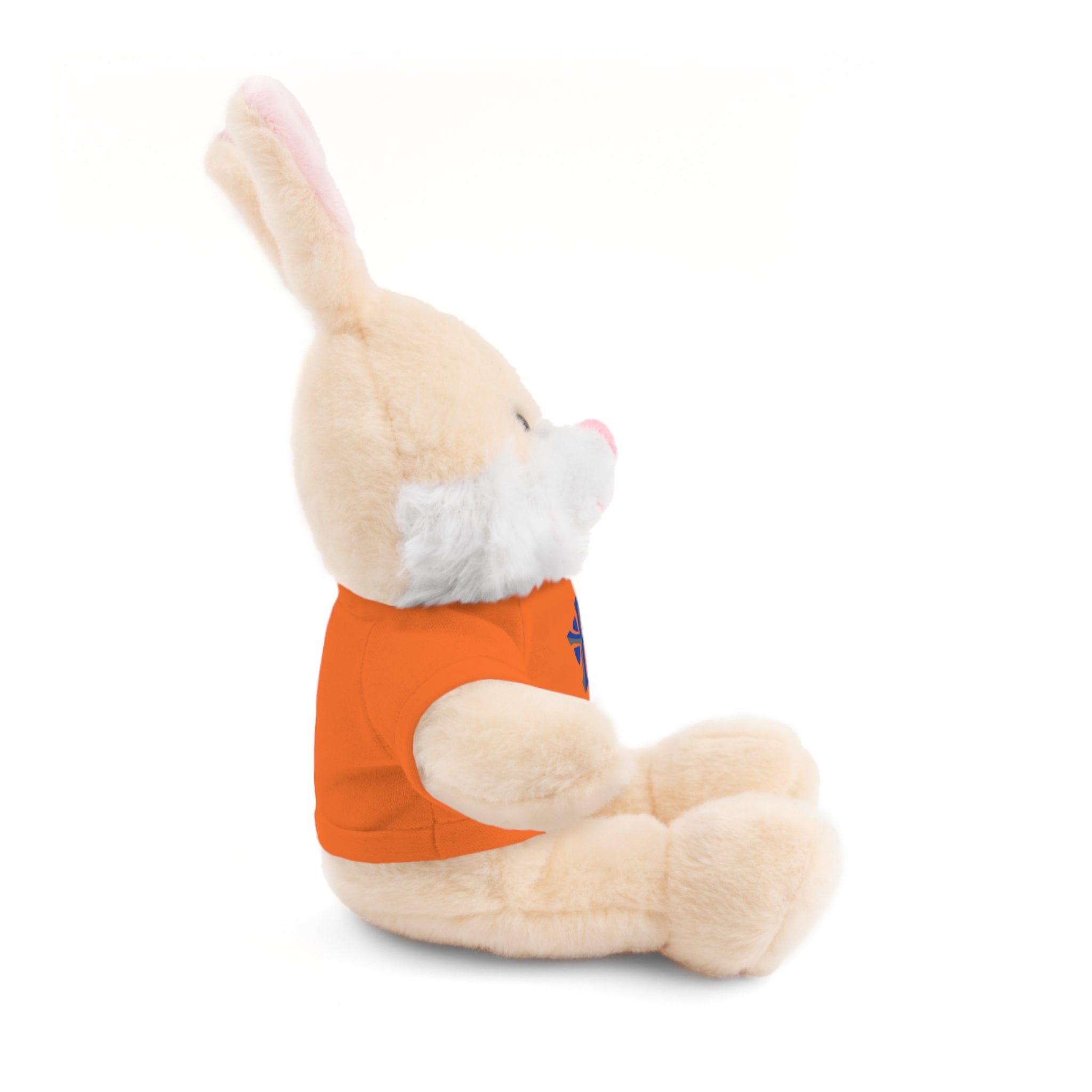 St Paul's Stuffed Animals with Tee