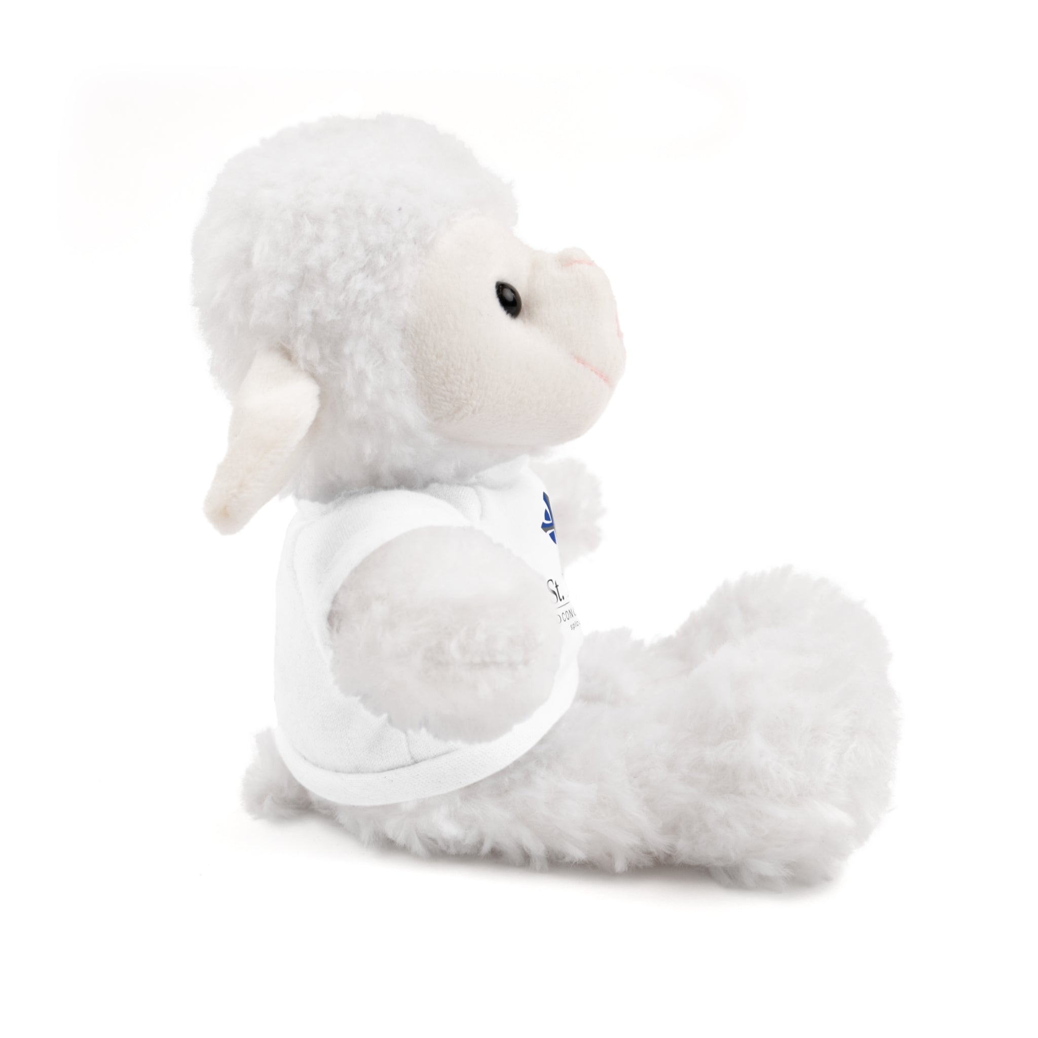 St Paul's Stuffed Animals with Tee
