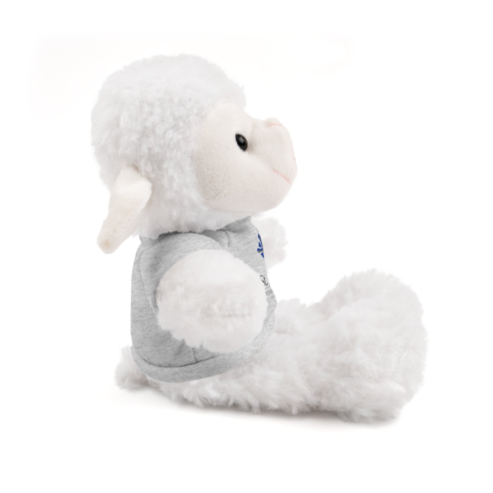 St Paul's Stuffed Animals with Tee