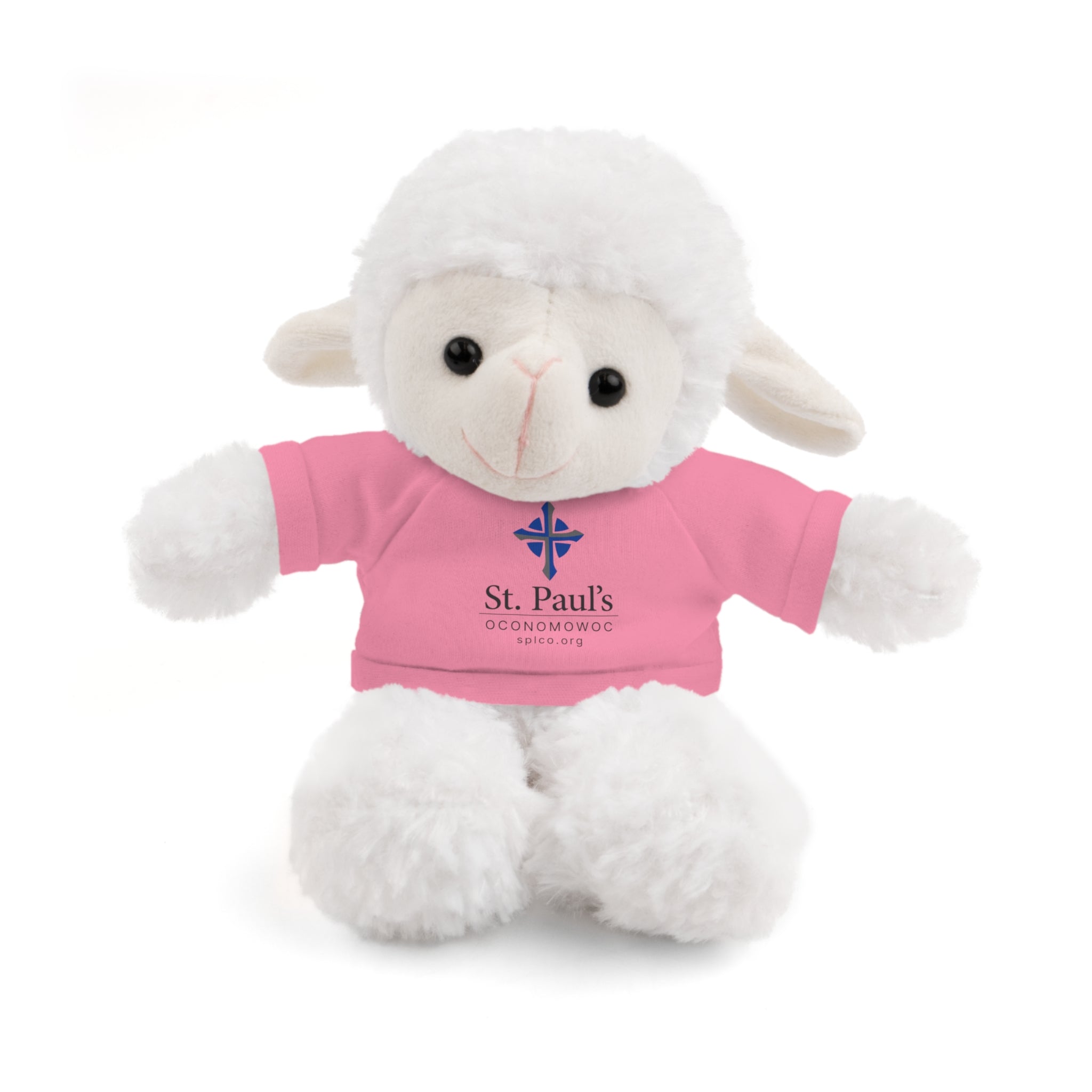 St Paul's Stuffed Animals with Tee