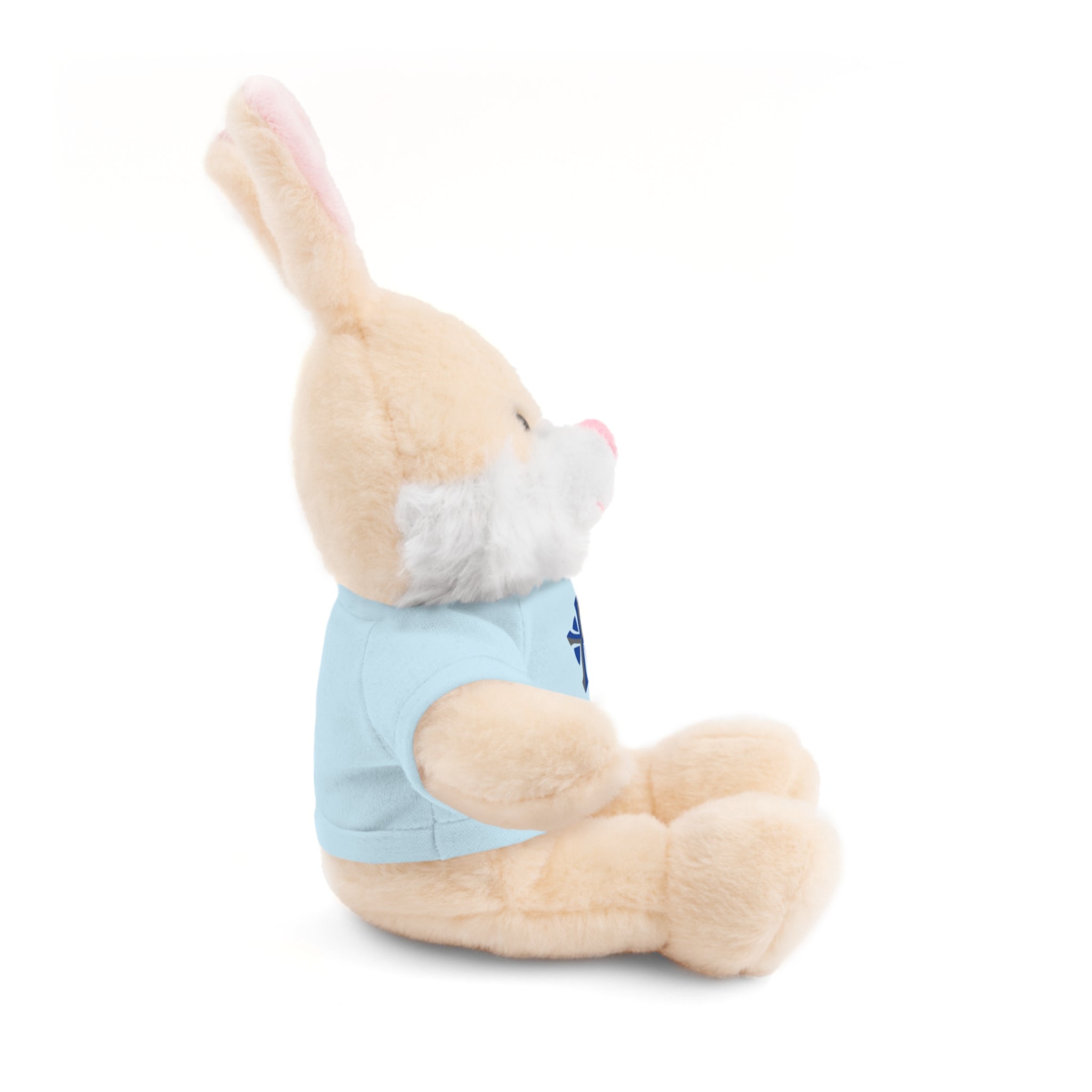 St Paul's Stuffed Animals with Tee