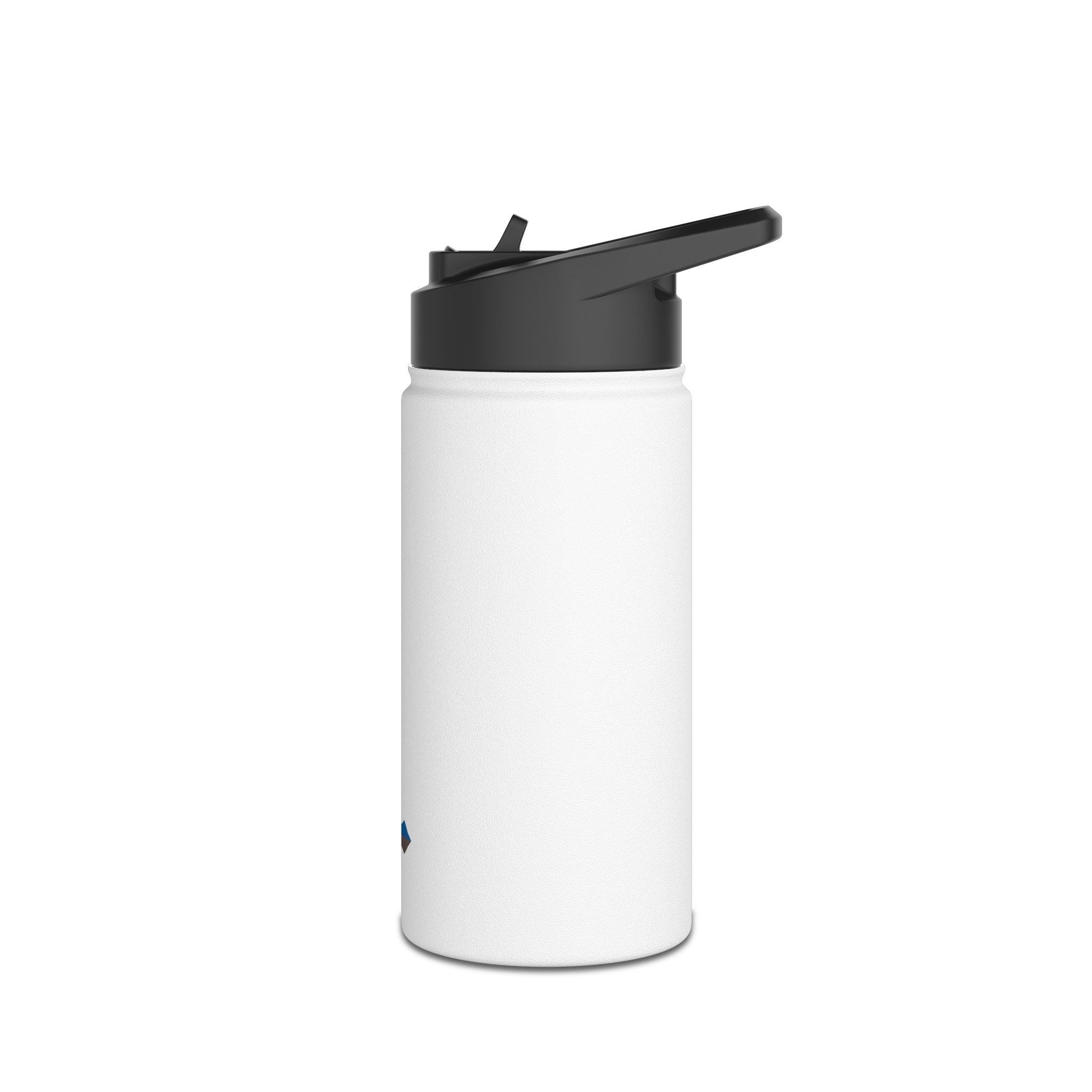 St Paul's Stainless Steel Water Bottle, Standard Lid