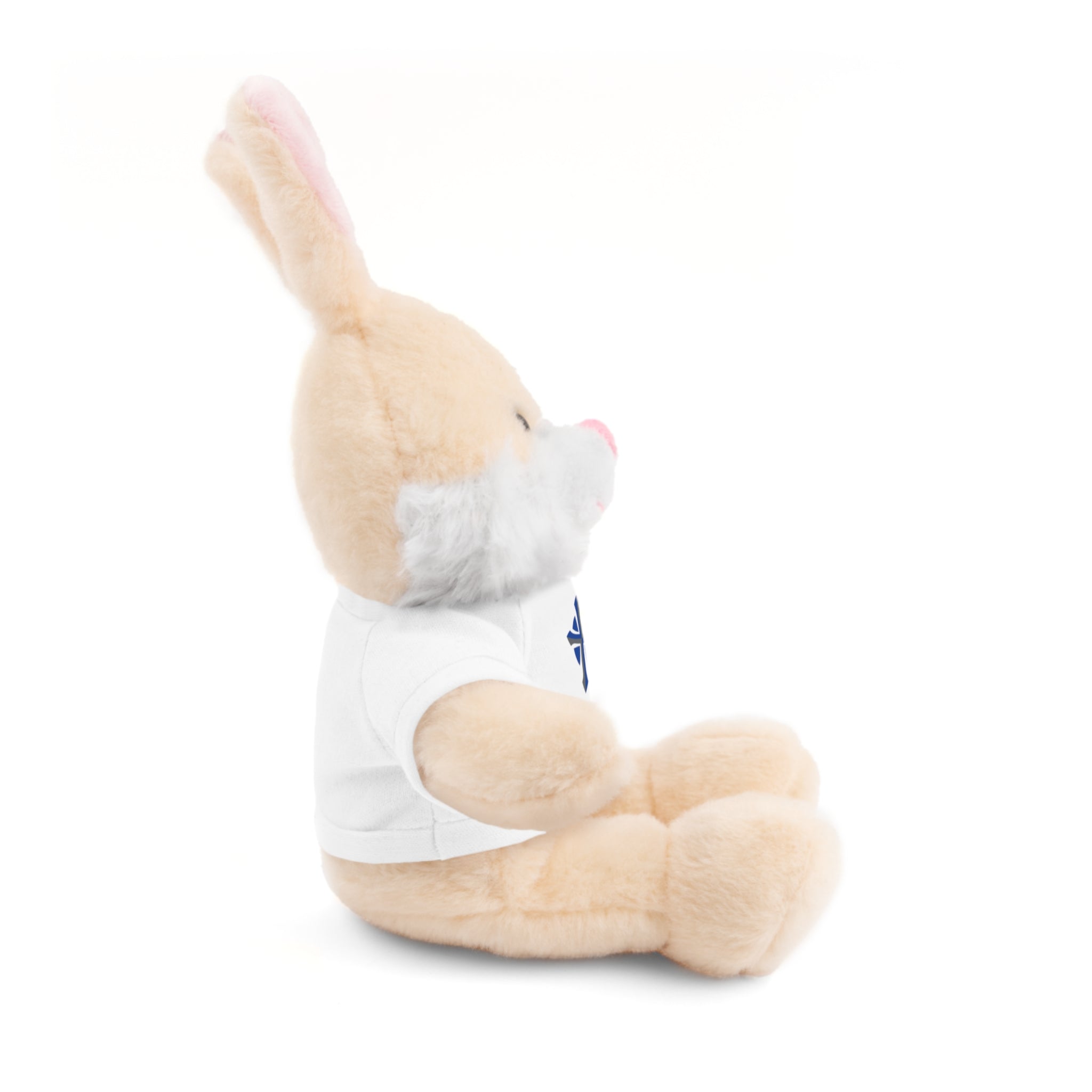 St Paul's Stuffed Animals with Tee