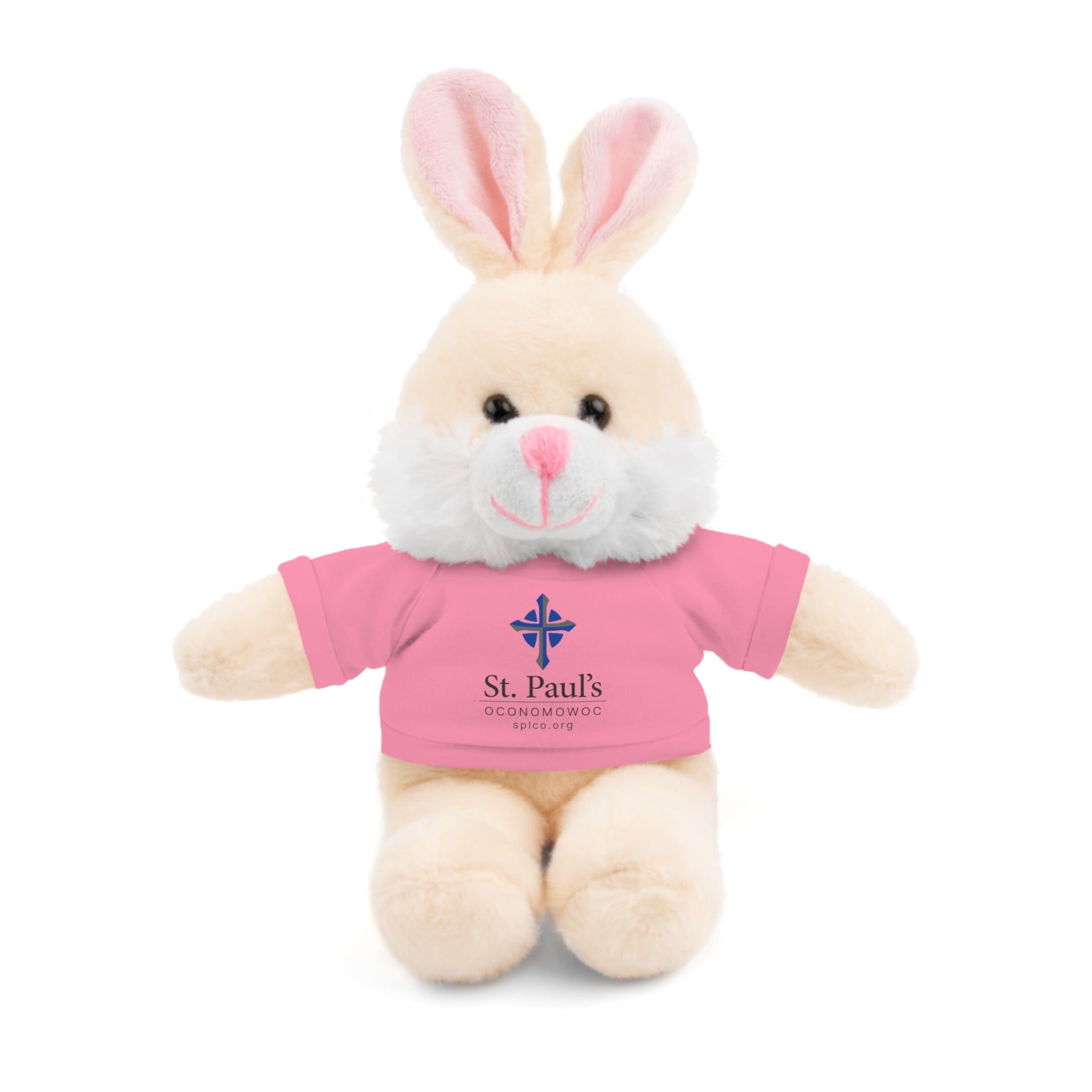 St Paul's Stuffed Animals with Tee