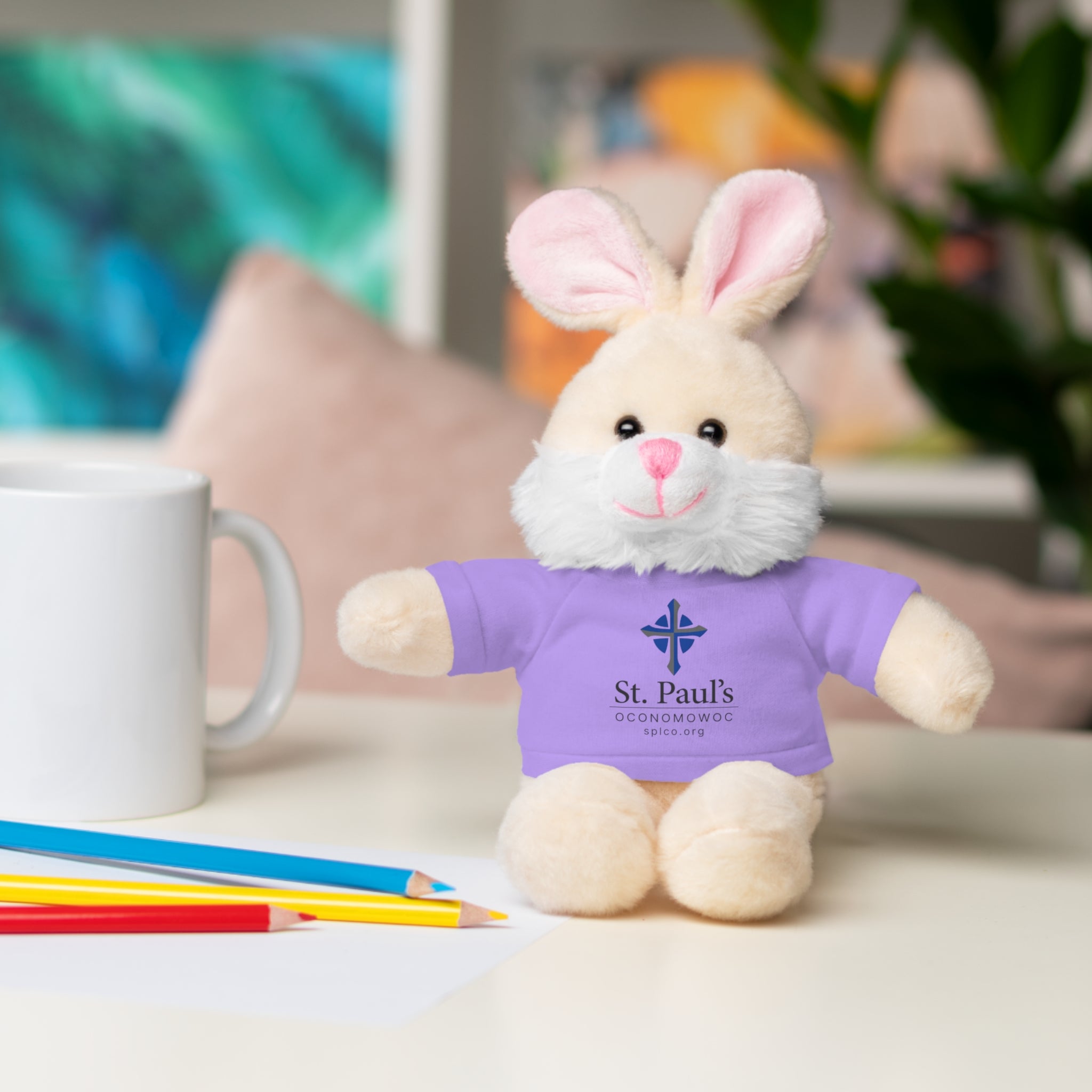 St Paul's Stuffed Animals with Tee