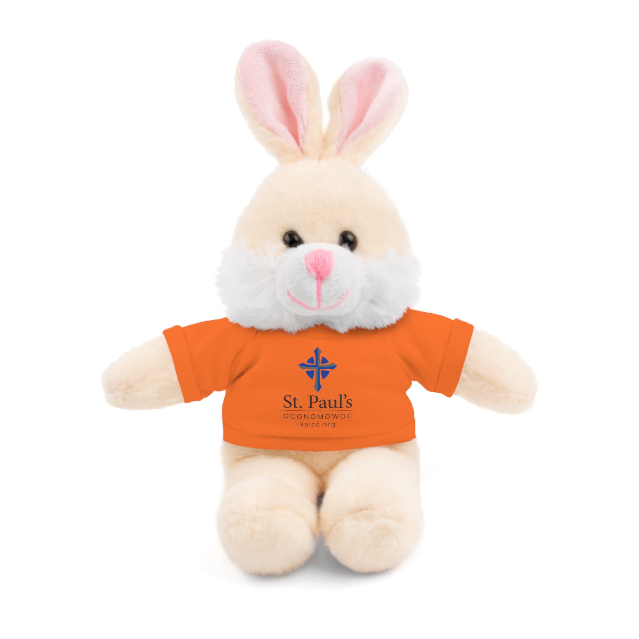 St Paul's Stuffed Animals with Tee