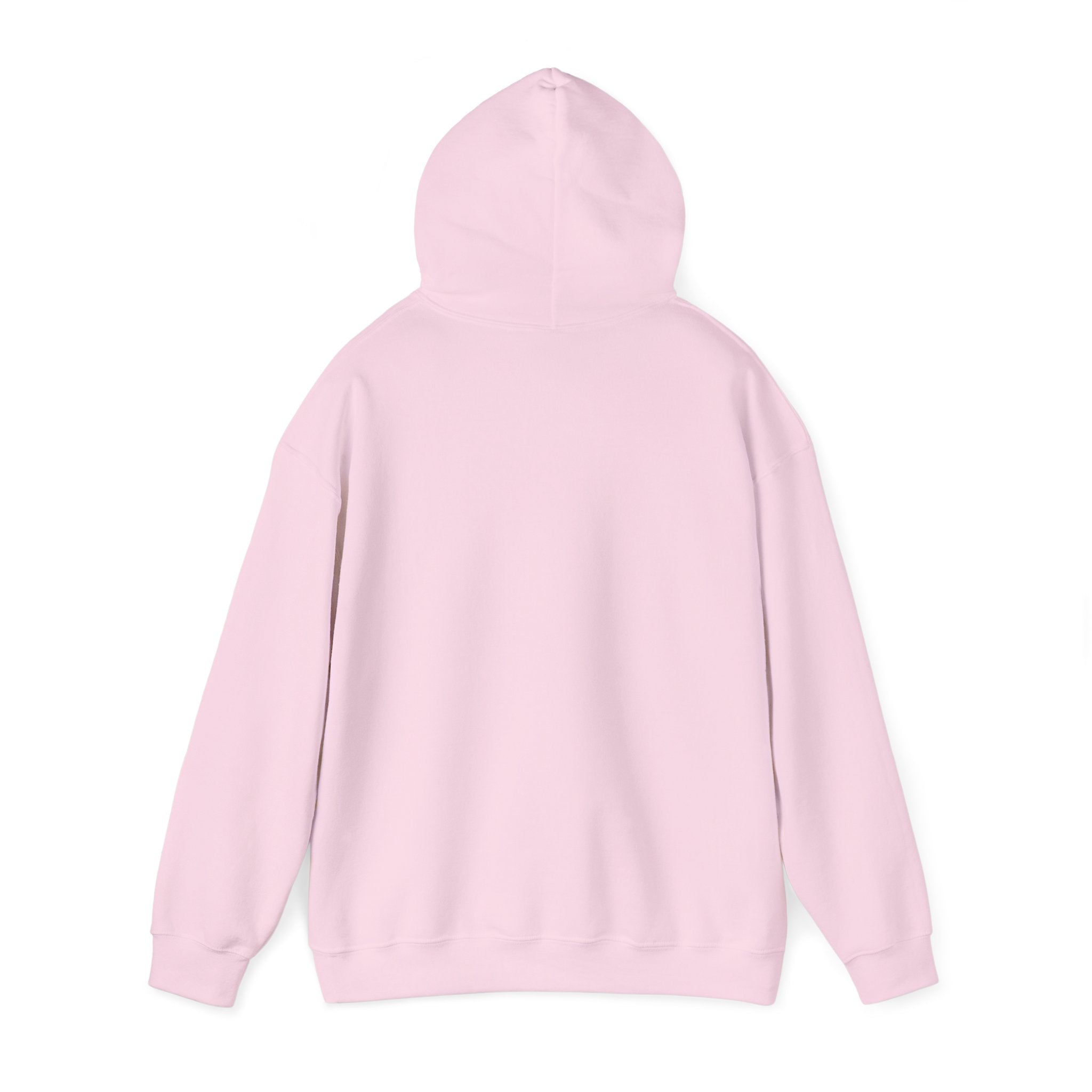 St Paul's Heavy Blend™ Hooded Sweatshirt