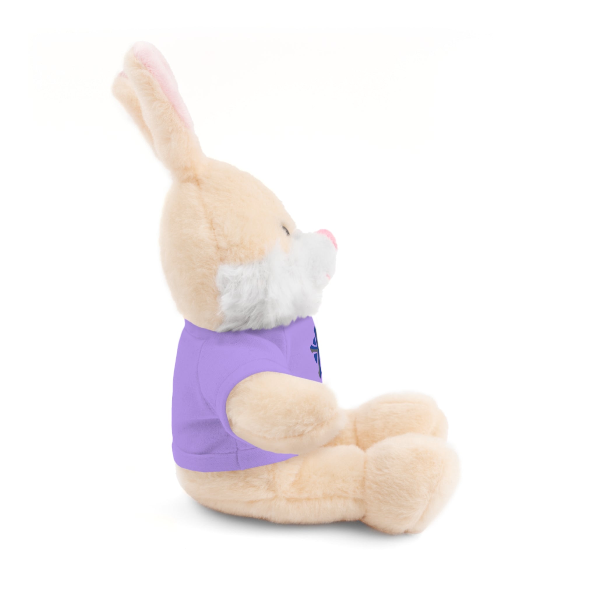 St Paul's Stuffed Animals with Tee