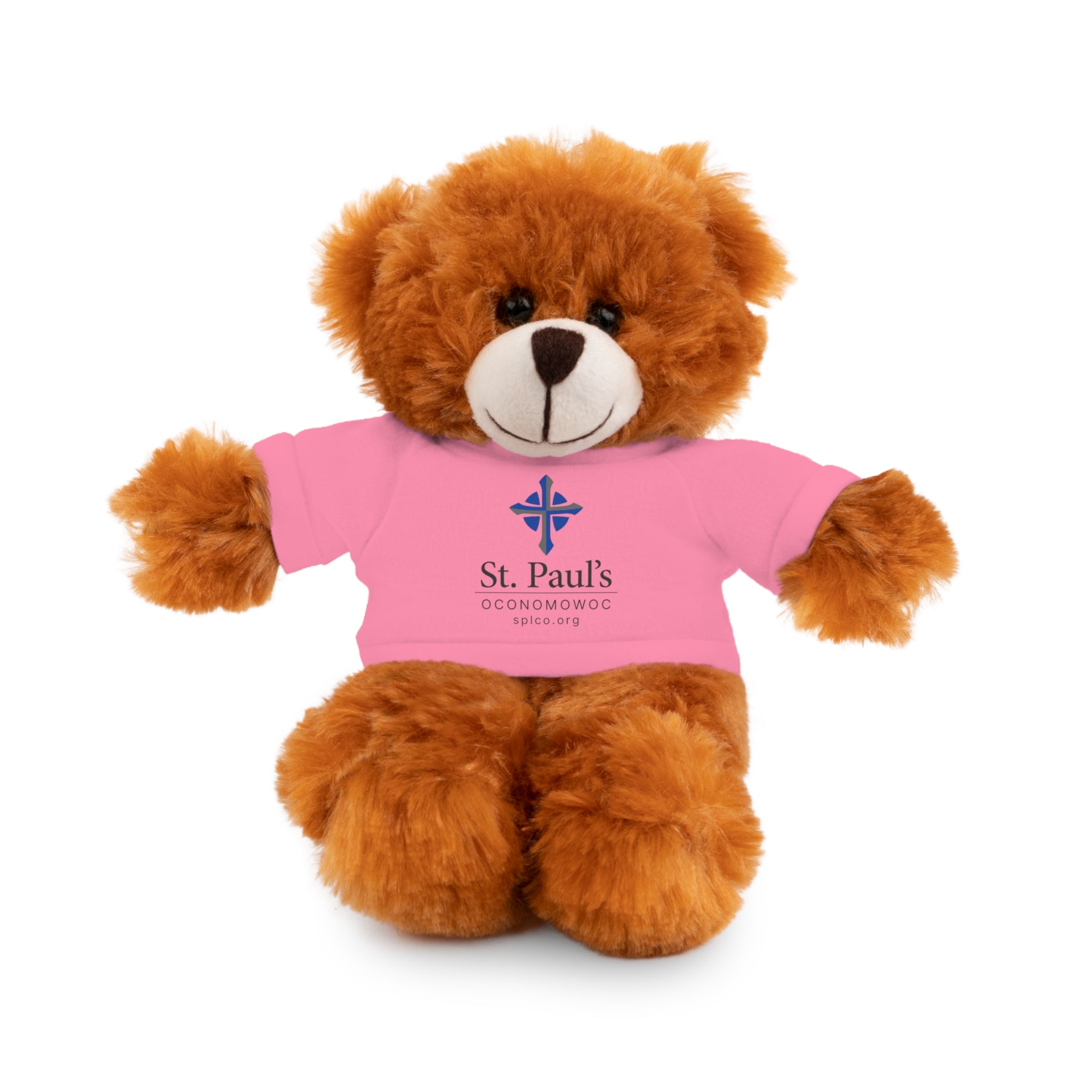 St Paul's Stuffed Animals with Tee