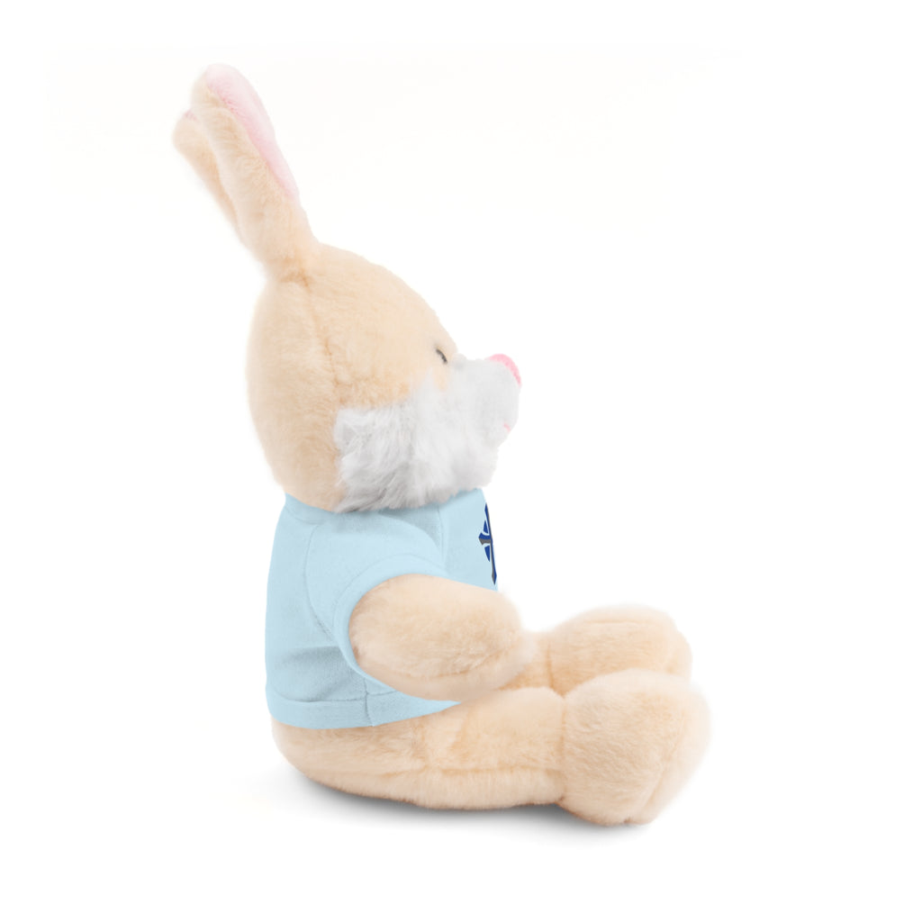St Paul's Stuffed Animals with Tee