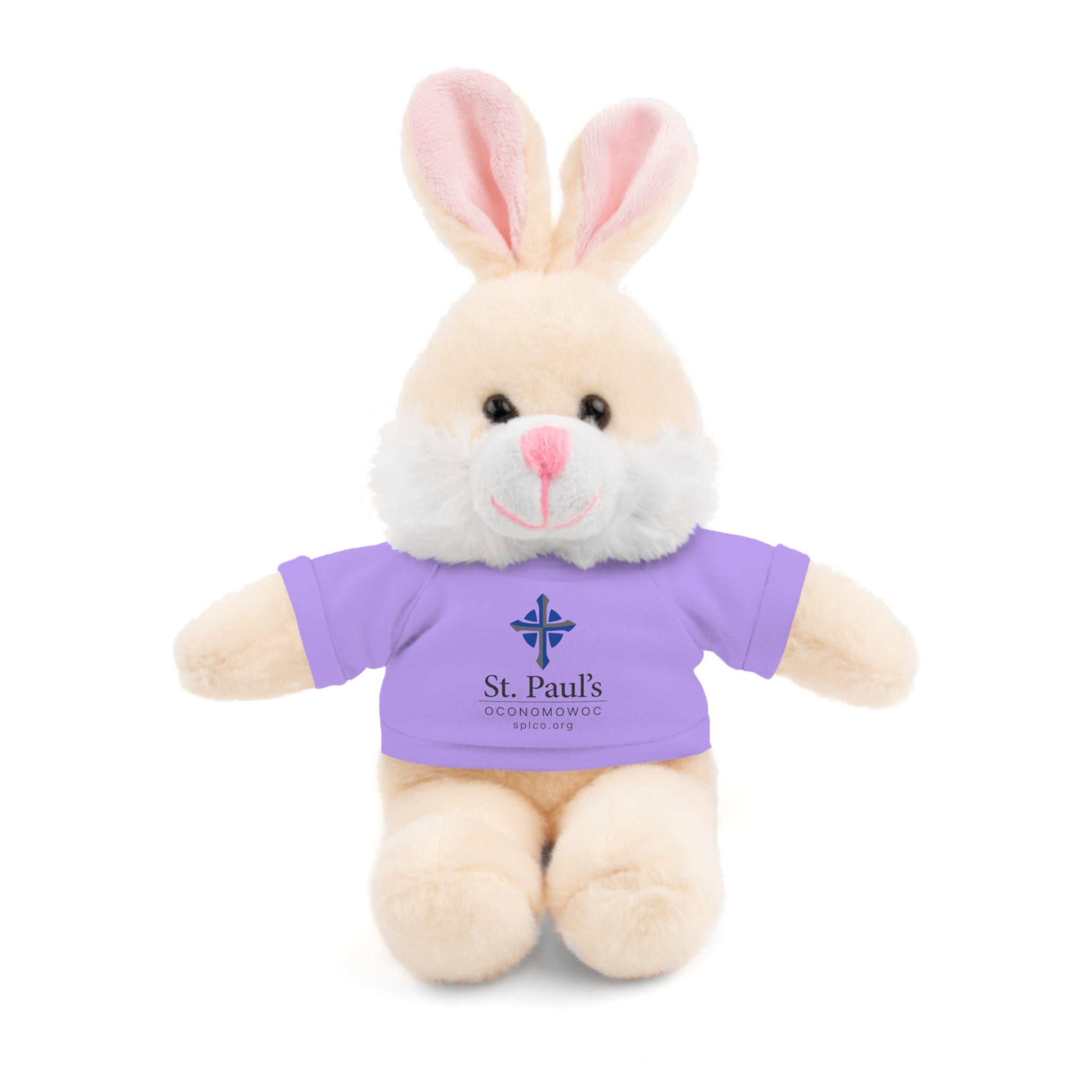 St Paul's Stuffed Animals with Tee